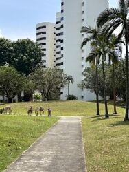 Ivory Heights (D22), Condominium #617627731
